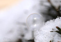 Frozen Bubble
