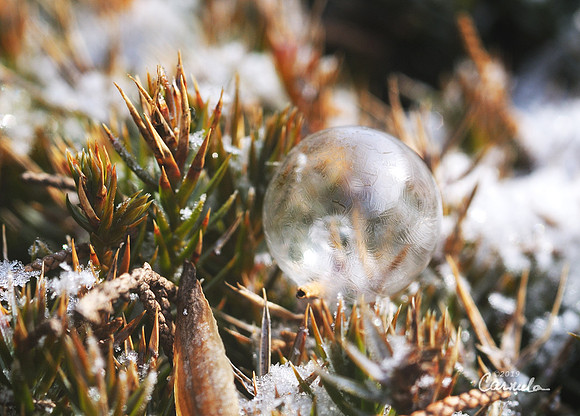 Frozen Bubble