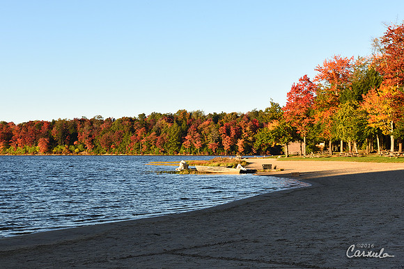 Ricketts Glen State Park
