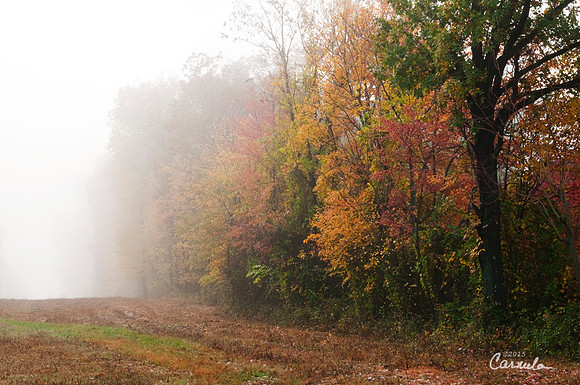 DSC_0125