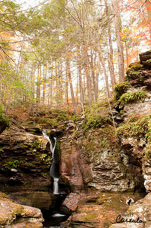 ricketts_glen_park_2015Oct24_0013
