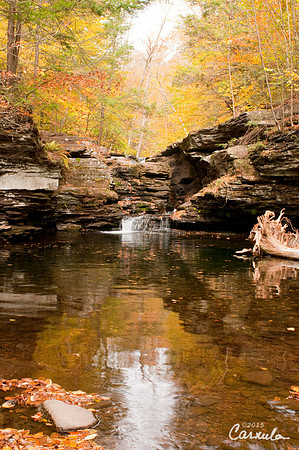 ricketts_glen_park_2015Oct24_0058