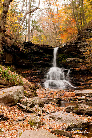 ricketts_glen_park_2015Oct24_0103