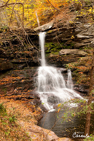 ricketts_glen_park_2015Oct24_0127