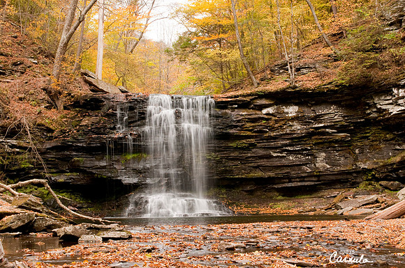 ricketts_glen_park_2015Oct24_0133