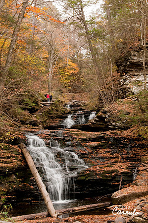 ricketts_glen_park_2015Oct24_0232
