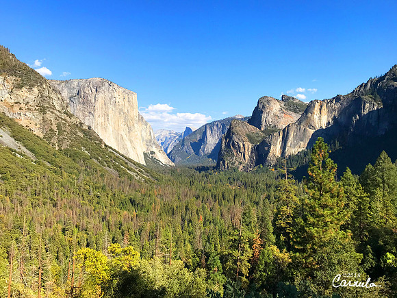 Fall at Yosemite National Park