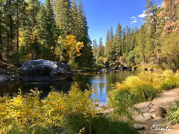 Fall at Yosemite National Park