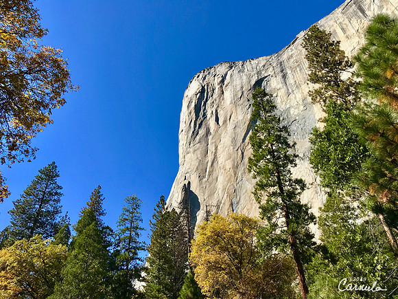 Fall at Yosemite National Park