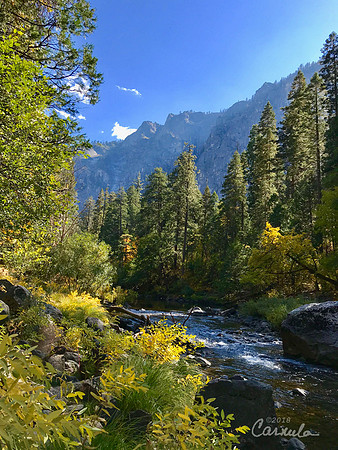Fall at Yosemite National Park