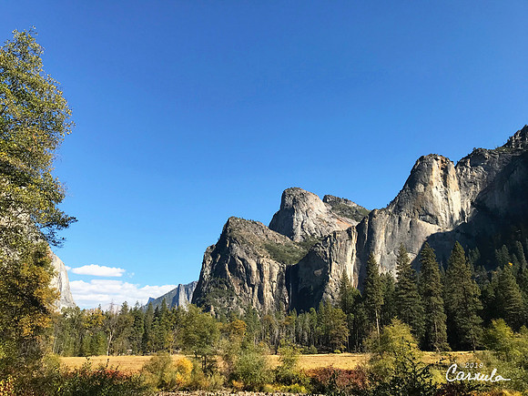 Fall at Yosemite National Park