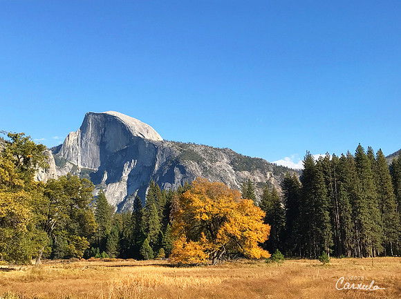 Fall at Yosemite National Park