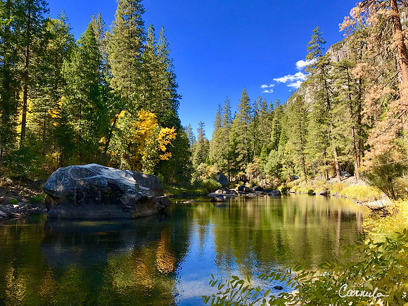 Fall at Yosemite National Park