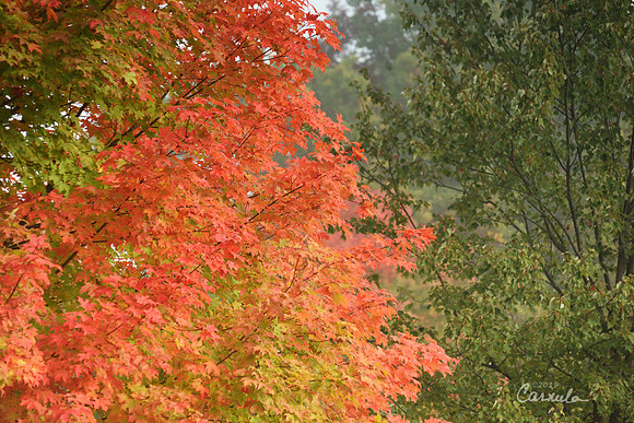 New Hampshire