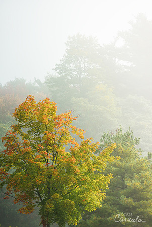 New Hampshire
