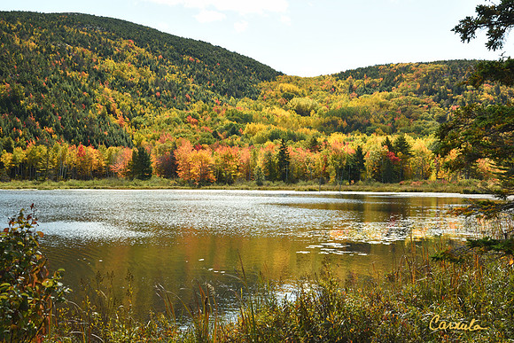 Acadia National Park, Maine