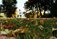 Fall