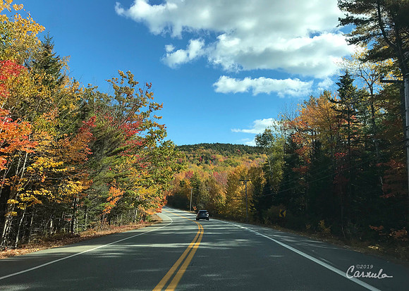 Acadia National Park, Maine