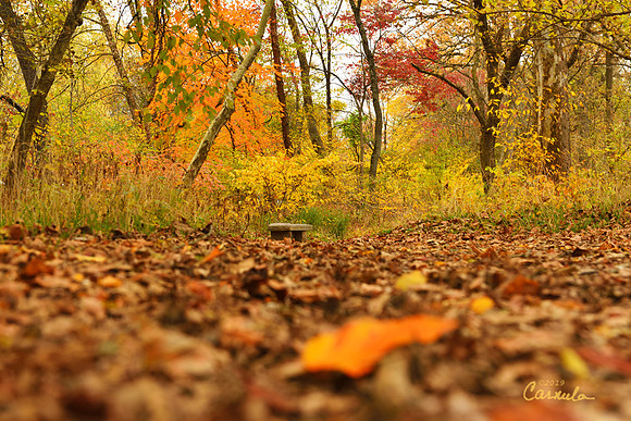 Chadds Ford, PA