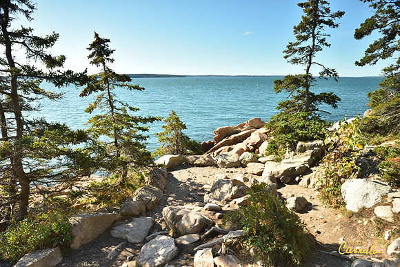 Acadia National Park, Maine