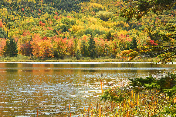 Acadia National Park, Maine