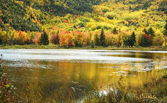 Acadia National Park, Maine