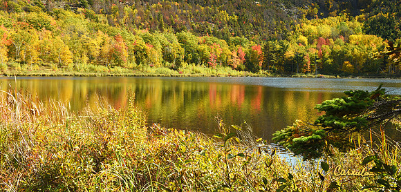 Acadia National Park, Maine