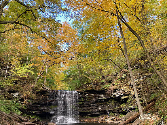 Ricketts Glenn State Park