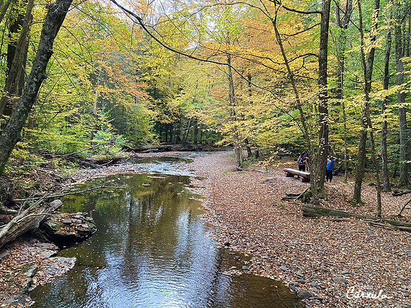 Ricketts Glenn State Park