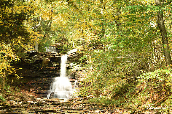 Ricketts Glenn State Park