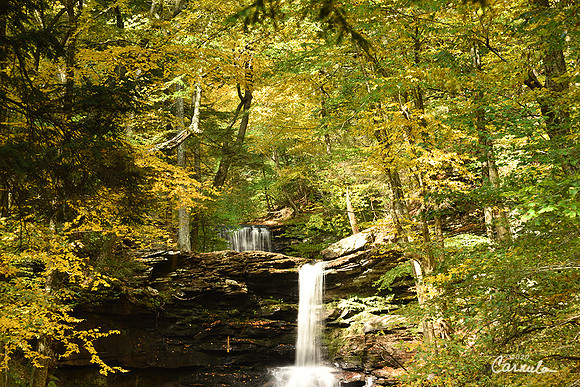 Ricketts Glenn State Park