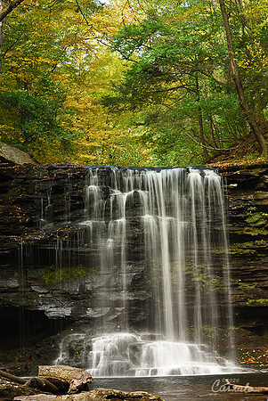 Ricketts Glenn State Park