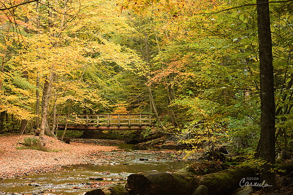 Ricketts Glenn State Park