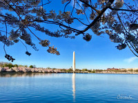 Washington DC