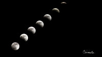 Lunar_Eclipse_Jan_2019