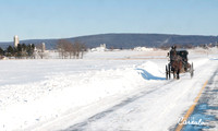 Winter Shot