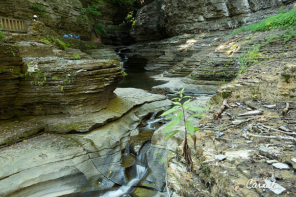 Watkins Glen State Park