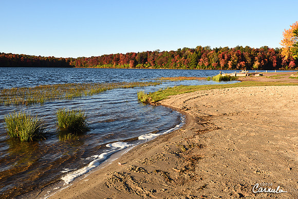 Ricketts Glen State Park