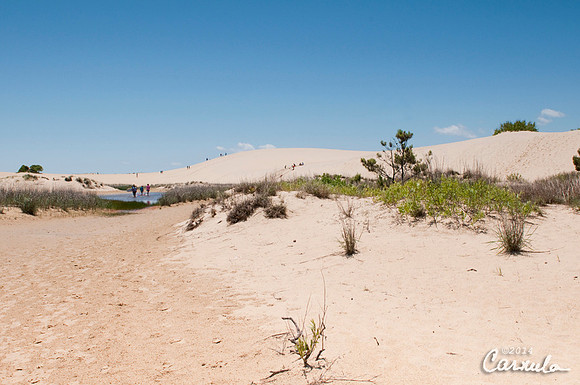 Outer Banks, NC, Sand Dunes, Jockey' Ridge State Park