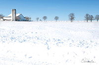 Winter Shot