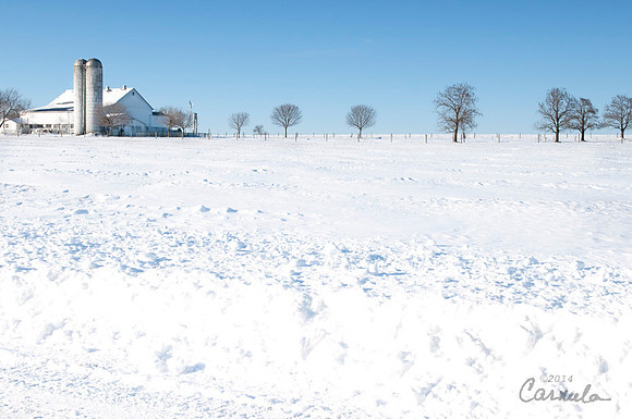 Winter Shot
