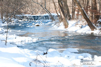 Winter Shot