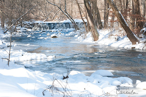 Winter Shot