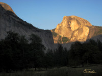 Half Dome - Yosemite Park