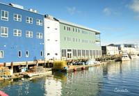 Portland, Maine
