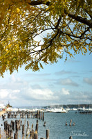 Portland, Maine