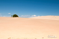 Outer Banks, NC, Sand Dunes, Jockey' Ridge State Park