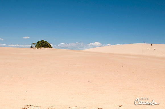Outer Banks, NC, Sand Dunes, Jockey' Ridge State Park