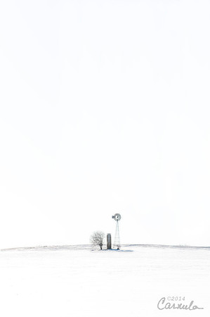 Winter Shot