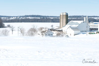 Winter Shot